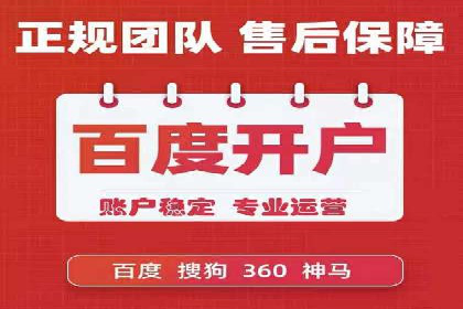 百度竞价排名策略解析：一家公司的广告投放策略全揭秘